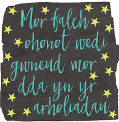 Mor falch ohonot wedi gwneud mor dda yn yr arholiadau