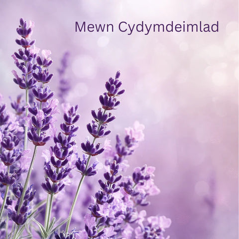 Mewn Cydymdeimlad