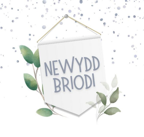 Newydd Briodi