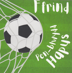 Pen-blwydd Hapus Ffrind