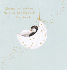 Llongyfarchiadau Nain ar enedigaeth eich wyr bach