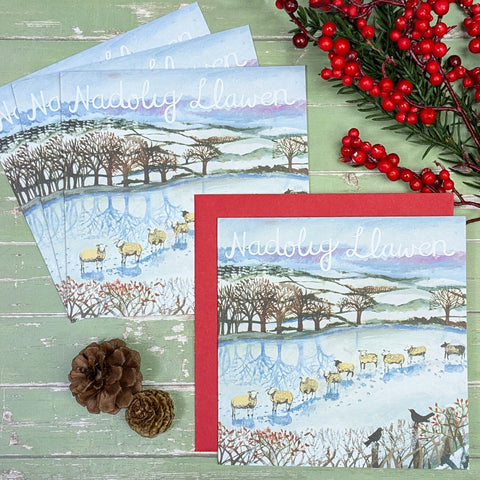 Nadolig Llawen (pack)|Nadolig Llawen (pecyn)