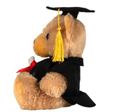 Tedi Wedi Graddio 2026 Graduation Teddy Bear