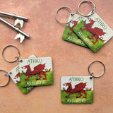 Athro Arbennig (Keyring)|Athro Arbennig (Cylch Allweddi)