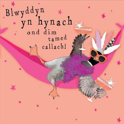 Blwyddyn yn hynach, ond dim tamed callach!