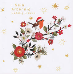 I Nain Arbennig, Nadolig Llawen