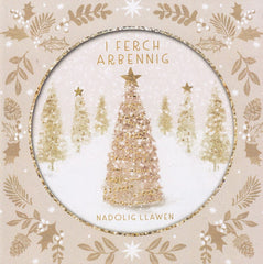 I Ferch Arbennig, Nadolig Llawen