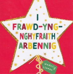 I Frawd-yng-Nghyfraith Arbennig, Nadolig Llawen