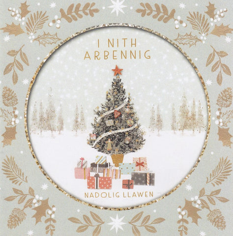I Nith Arbennig, Nadolig Llawen