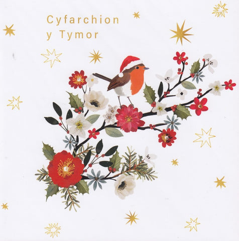 Cyfarchion y Tymor