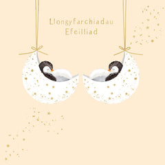 Llongyfarchiadau Efeilliad **dim we**