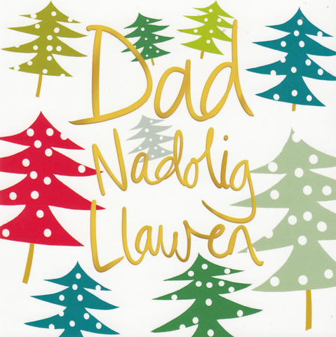 Nadolig Llawen Dad