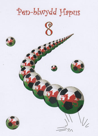 Pen-blwydd Hapus - 8