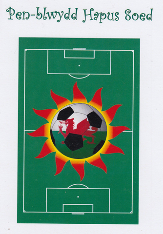 Pen-blwydd Hapus - 8