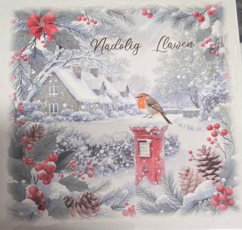 Nadolig Llawen (pack)|Nadolig Llawen (pecyn)