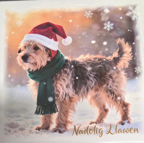 Nadolig Llawen (pack)|Nadolig Llawen (pecyn)