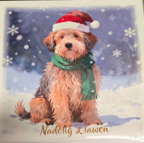 Nadolig Llawen (pack)|Nadolig Llawen (pecyn)