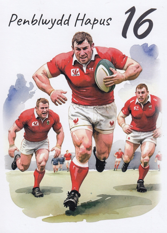 Penblwydd Hapus - 16