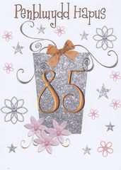 Penblwydd Hapus - 85