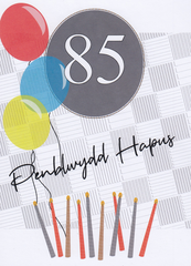 Penblwydd Hapus - 85
