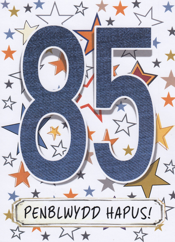 Penblwydd Hapus - 85