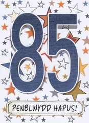 Penblwydd Hapus - 85