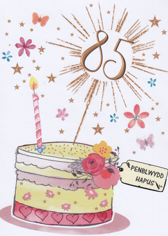 Penblwydd Hapus - 85