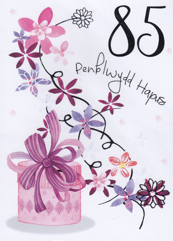 Penblwydd Hapus - 85