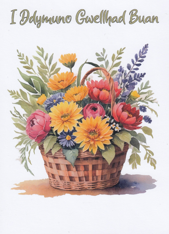 I Ddymuno Gwellhad Buan