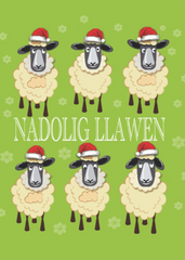 Nadolig Llawen (pack)|Nadolig Llawen (pecyn)