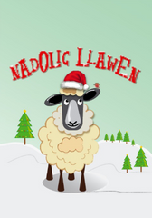 Nadolig Llawen (pack)|Nadolig Llawen (pecyn)