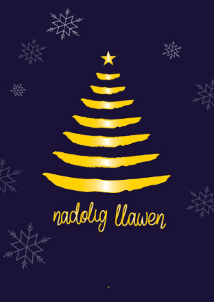 Nadolig Llawen (pack)|Nadolig Llawen (pecyn)