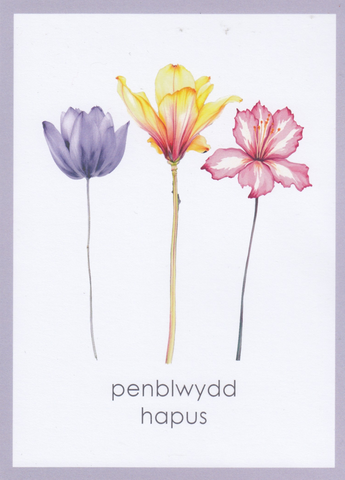 Penblwydd Hapus
