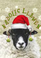 Nadolig Llawen (pack)|Nadolig Llawen (pecyn)