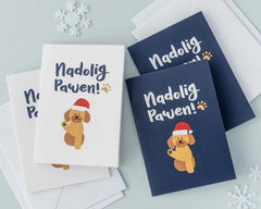 Nadolig Pawen! (Pack) | Nadolig Pawen! (Pecyn)