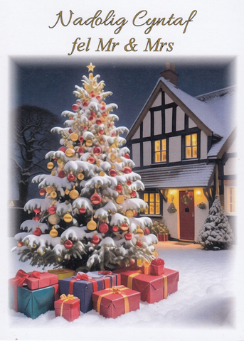 Nadolig Cyntaf fel Mr a Mrs