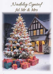 Nadolig Cyntaf fel Mr a Mrs