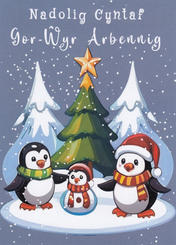 Nadolig Cyntaf Gor-Wyr Arbennig