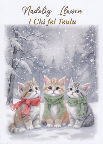 Nadolig Llawen I Chi fel Teulu