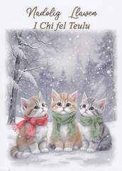 Nadolig Llawen I Chi fel Teulu