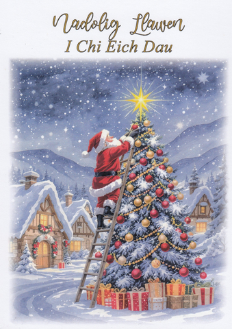 Nadolig Llawen i chi eich dau