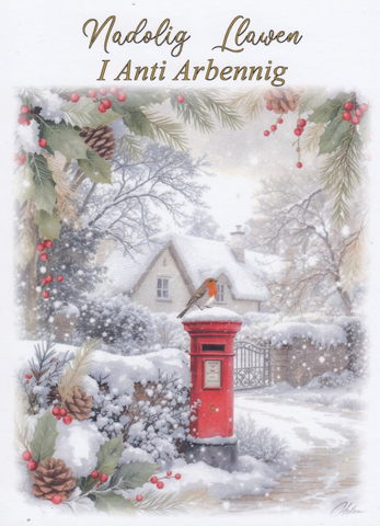 Nadolig Llawen i Anti Arbennig