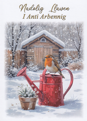 Nadolig Llawen i Anti Arbennig