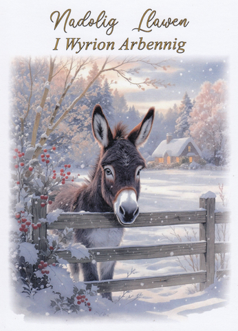 Nadolig Llawen I Wyrion Arbennig