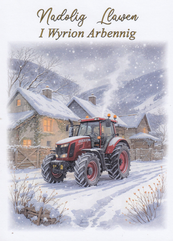 Nadolig Llawen I Wyrion Arbennig