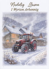 Nadolig Llawen I Wyrion Arbennig