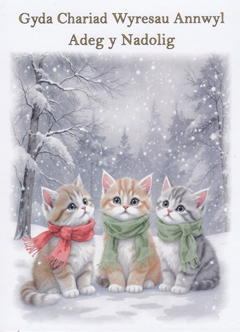 Gyda Chariad Wyresau Annwyl Adeg y Nadolig