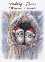 Nadolig Llawen I Wyresau Arbennig