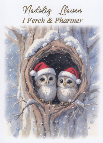 Nadolig Llawen i Ferch & Phartner
