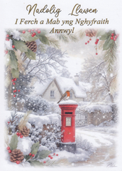 Nadolig Llawen i Ferch a Mab yng Nghyfraith Annwyl